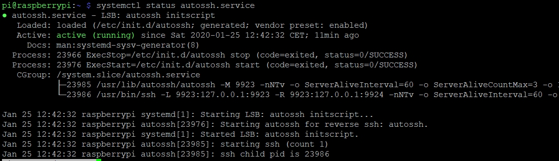 autossh reverse tunnel raspberry pi autossh reverse tunnel raspberry pi
